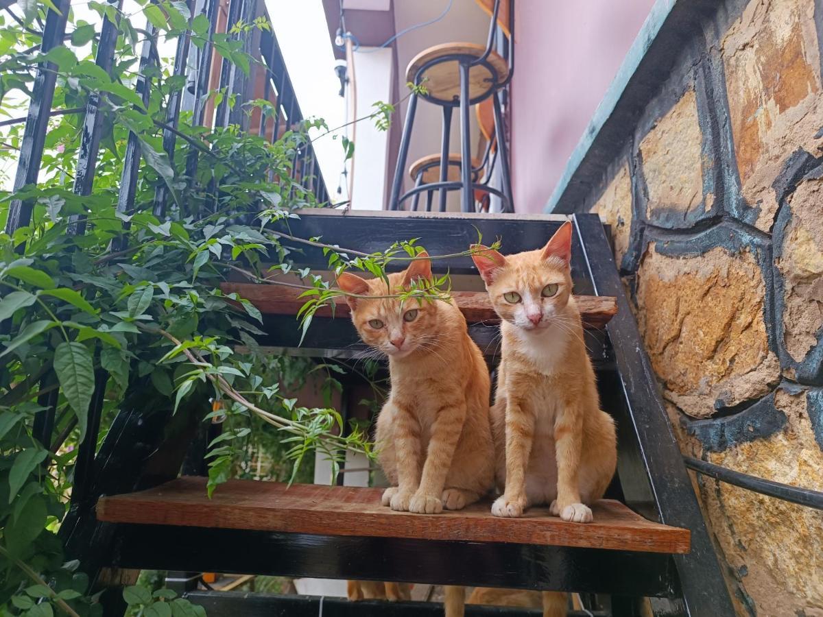 The Burrow Dalat Apartment Exterior photo
