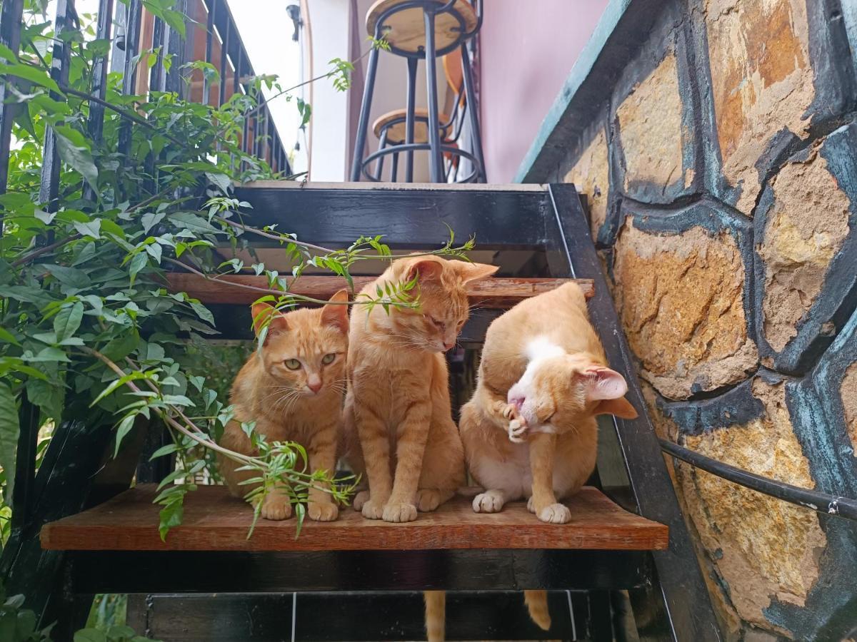 The Burrow Dalat Apartment Exterior photo